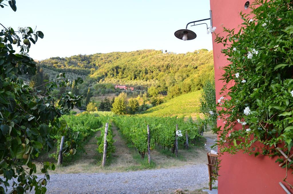 Agriturismo Le Murelle Лукка Экстерьер фото